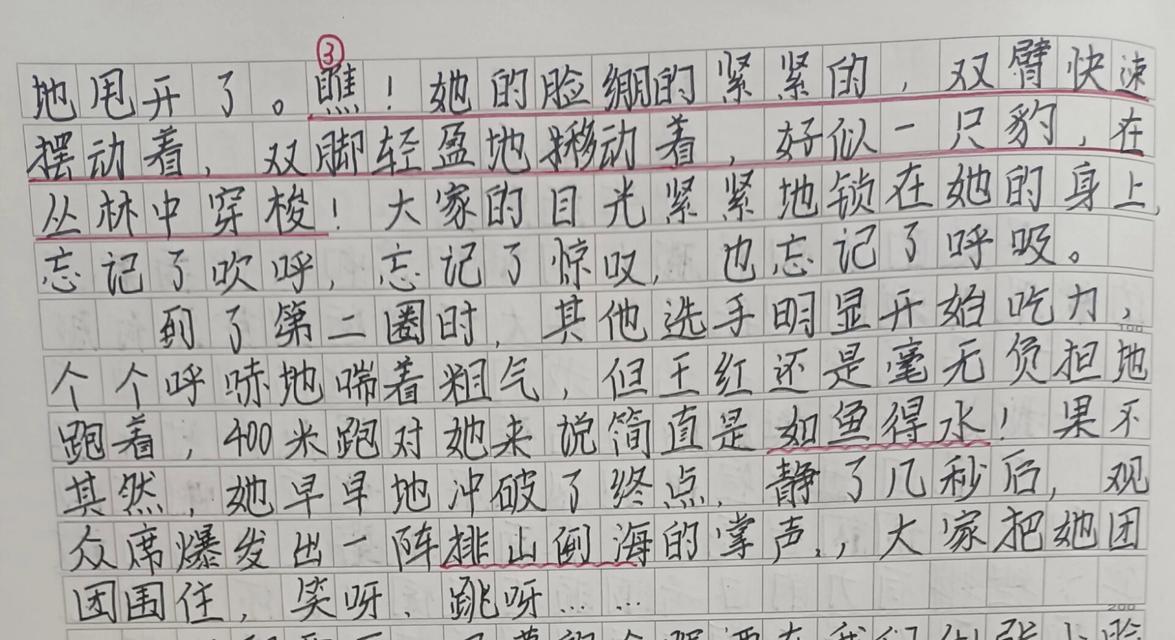 难忘的运动会——我的冠军之路