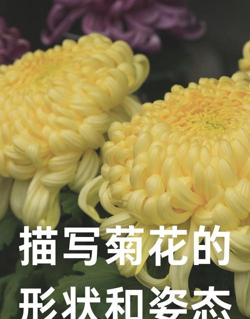 命运的轨迹与坚持的意义（命运的轨迹与坚持的意义）