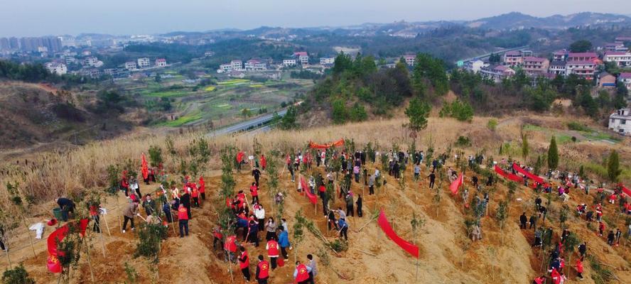 共建生态文明——小草与阳光的故事（从呵护自然到共建生态文明，每个人都是关键）