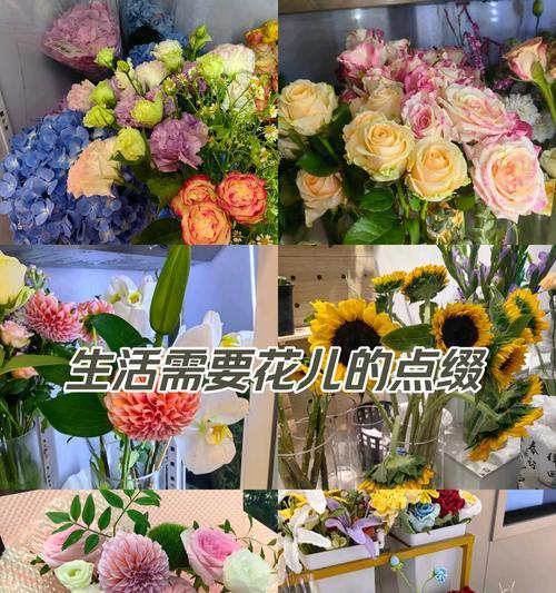 在书中寻找生活的美好（在书中寻找生活的美好）