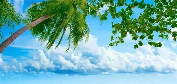 浅浅的浪花（海岸上的少年们）