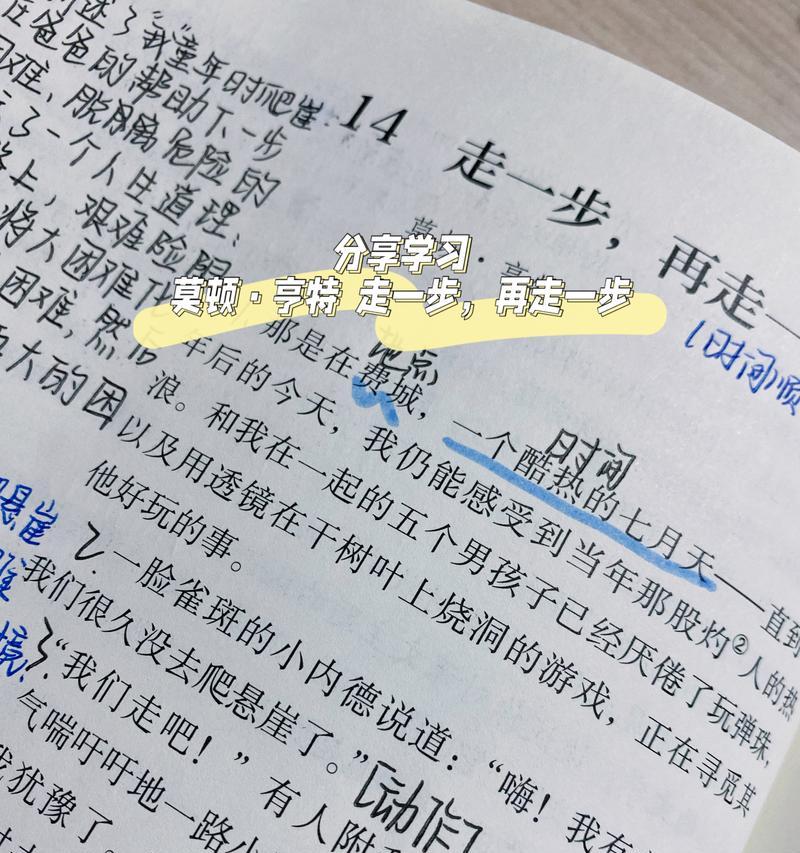 一步一步，走向未来（缘起一次偶然的相遇）