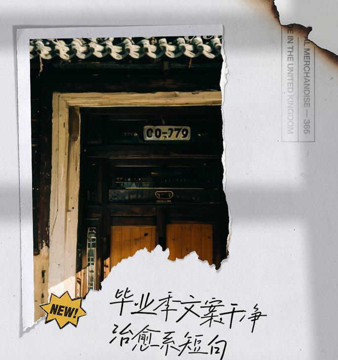 青春岁月里的独一无二