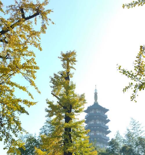 一起保护大自然，让世界更美好（一起保护大自然，让世界更美好）