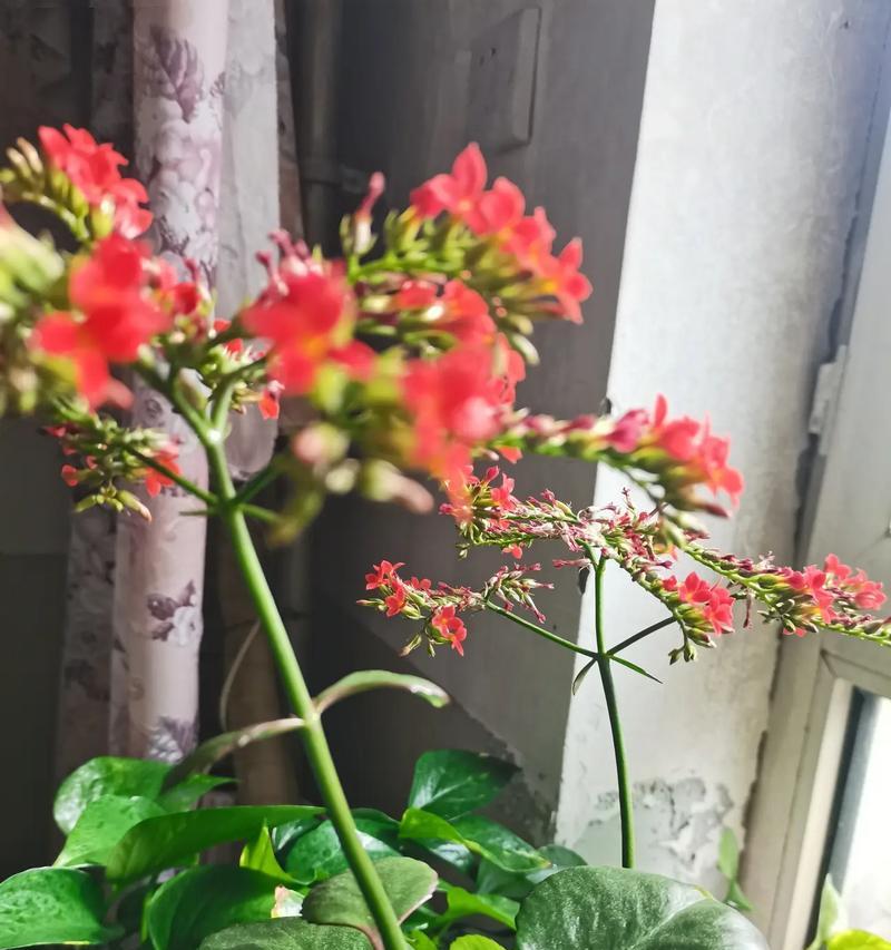 在微笑中相遇(一次意外的相遇,漫步在传递快乐的路上)