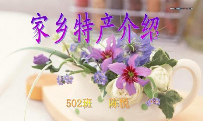 家乡美食，独具特色（品尝美食，寻找记忆）
