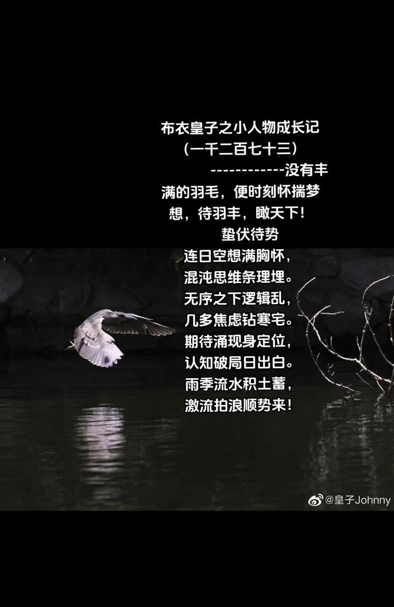 那个瞬间（当小镇青年们长大）