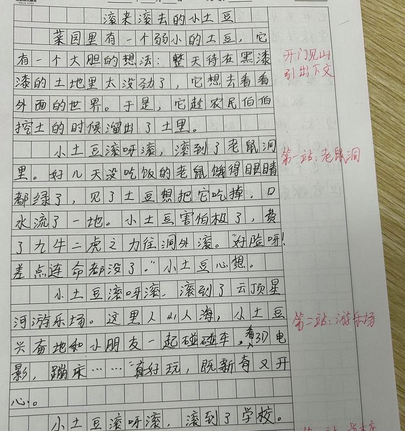 滚啊滚，土豆啊土豆（从地里到餐桌的奇妙旅程）