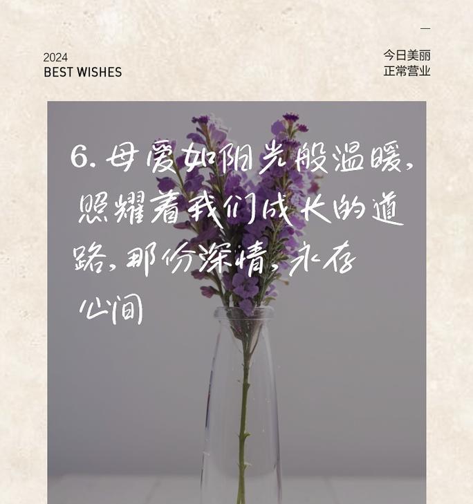 母爱的坚韧与柔软（一个母亲的爱和坚持）