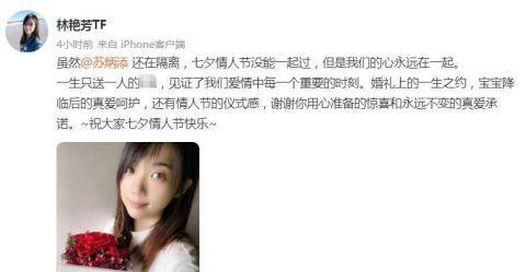 绿萝的故事——因为有爱而生（一颗小小的绿萝，见证了爱的成长）