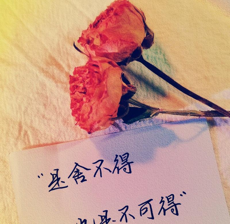 身边人的力量（真挚陪伴，成就精彩人生）